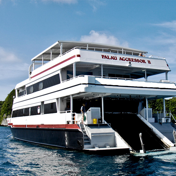 Palau Aggressor Liveaboard