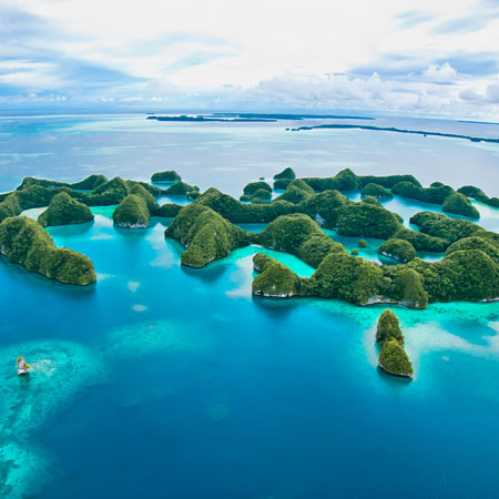 Dykning i Palau, dykresa med liveaboard i Mikronesien