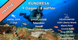 Rundresa Bali för dykare och icke dykare 9 dagar. Dykning och snorkling i Indonesien